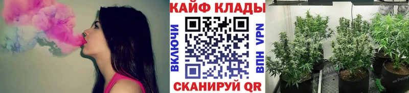 Виды наркотиков купить Кыштым АМФЕТАМИН Псилоцибиновые грибы Гашиш Меф мяу мяу МАРИХУАНА A-PVP