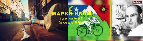 стаф Анива