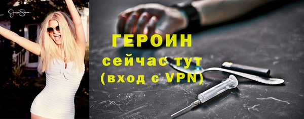 гидра Няндома