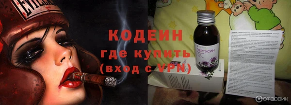 стаф Анива