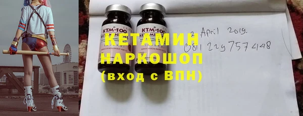 гидра Няндома