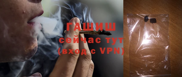 гидра Няндома