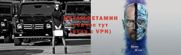 гидра Анжеро-Судженск