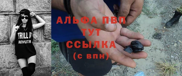 гидра Анжеро-Судженск