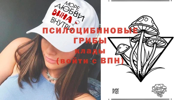 гидра Анжеро-Судженск