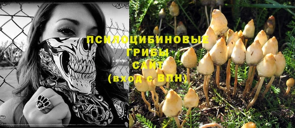 ПСИЛОЦИБИНОВЫЕ ГРИБЫ Нязепетровск