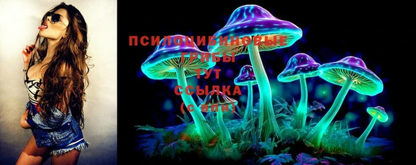 марки lsd Горняк