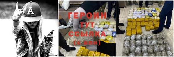 гидра Няндома