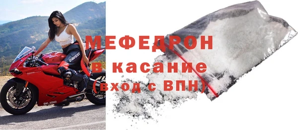 гидра Няндома