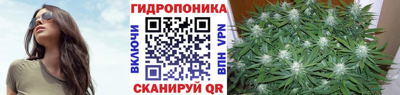 omg ссылки  Кыштым  Канабис Amnesia 