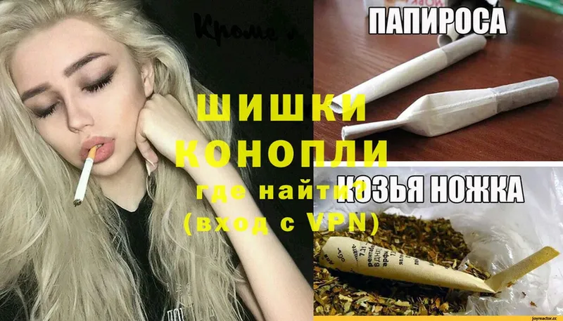 как найти закладки  Кыштым  Шишки марихуана Ganja 